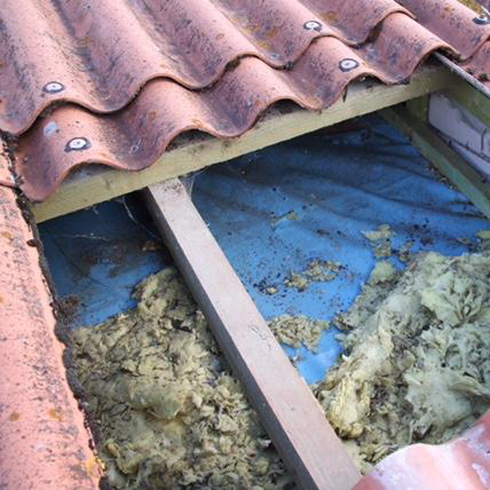 Leistungen dach zerstoerte dachdaemmung marderschaden bauder